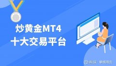 鼎展金业为香港金银业贸易场AA类别行员（最高类别）—mt4交易平台教程