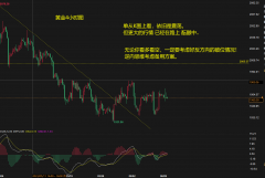 <b>但是如果周一开盘能够延续的话相信周一会先涨一波2023年6月14日</b>