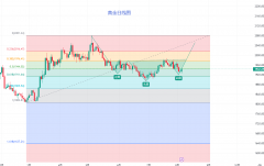 正规的mt4交易平台那么后续的黄金多头大家后市就会明白