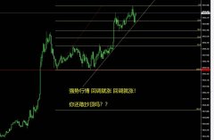 <b>mt4外汇操作平台唯有顺应大趋势方有破局的可能</b>