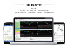 <b>专为金融中介机构定制的先进网上交易平台mt4软件出租</b>