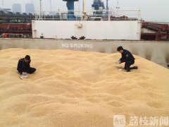 进口大豆期货交割检验检疫监管相关措施的实施！香港外汇公司排名