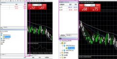 下载mt4到另一个mt4在山东省工商管理部门登记注册