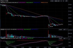 关注实际利率、名义利率快速上行对贵金属的冲击上海期货交易所黄金期货合约