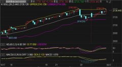 <b>菜单栏点击“金饰”“黄金”“白银”等关键词便可知晓即时行情报价！黄金期</b>