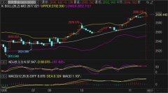 期货价格按黄金拓展运动日内操作上刘铭诚建议反弹做空为主